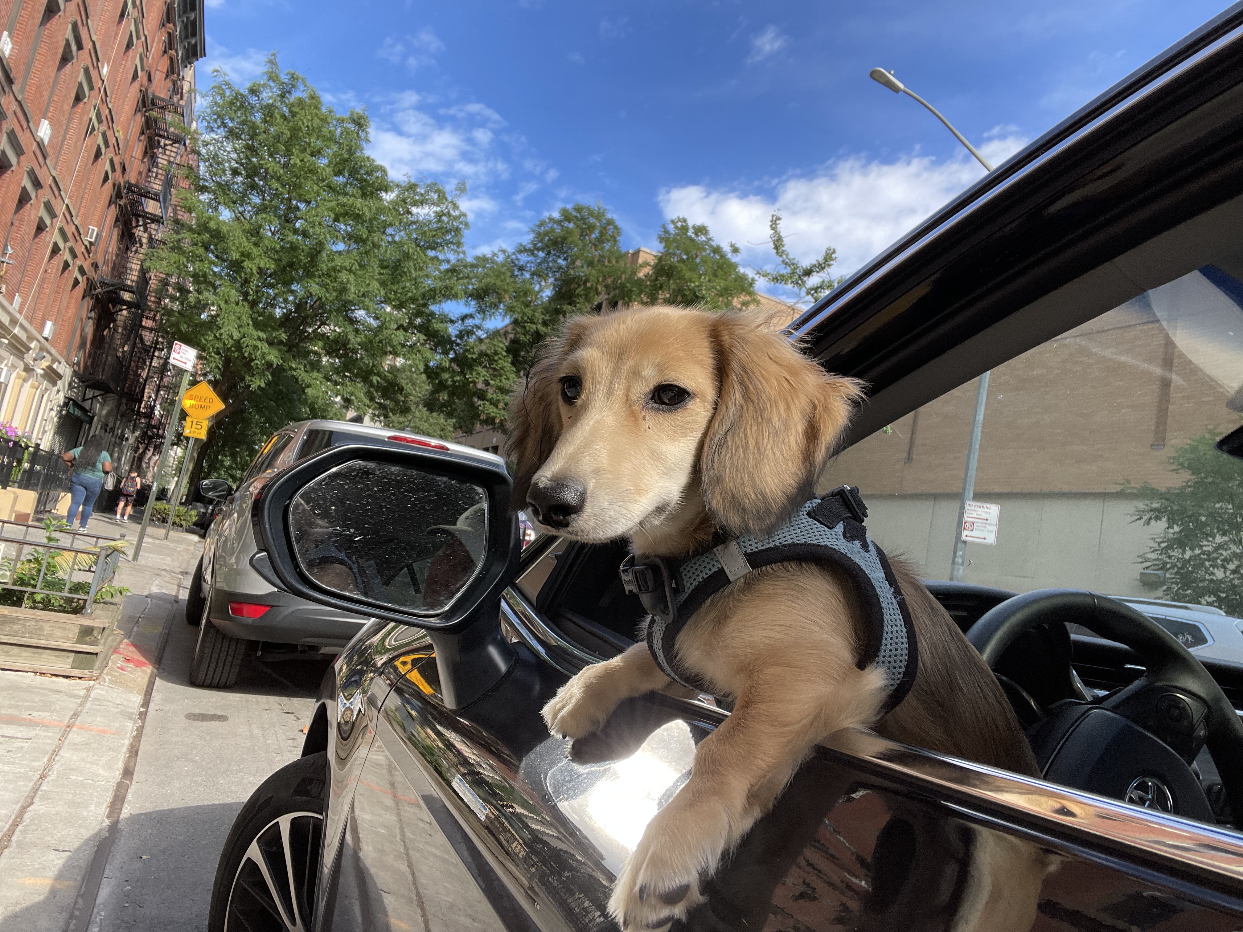The Commuter