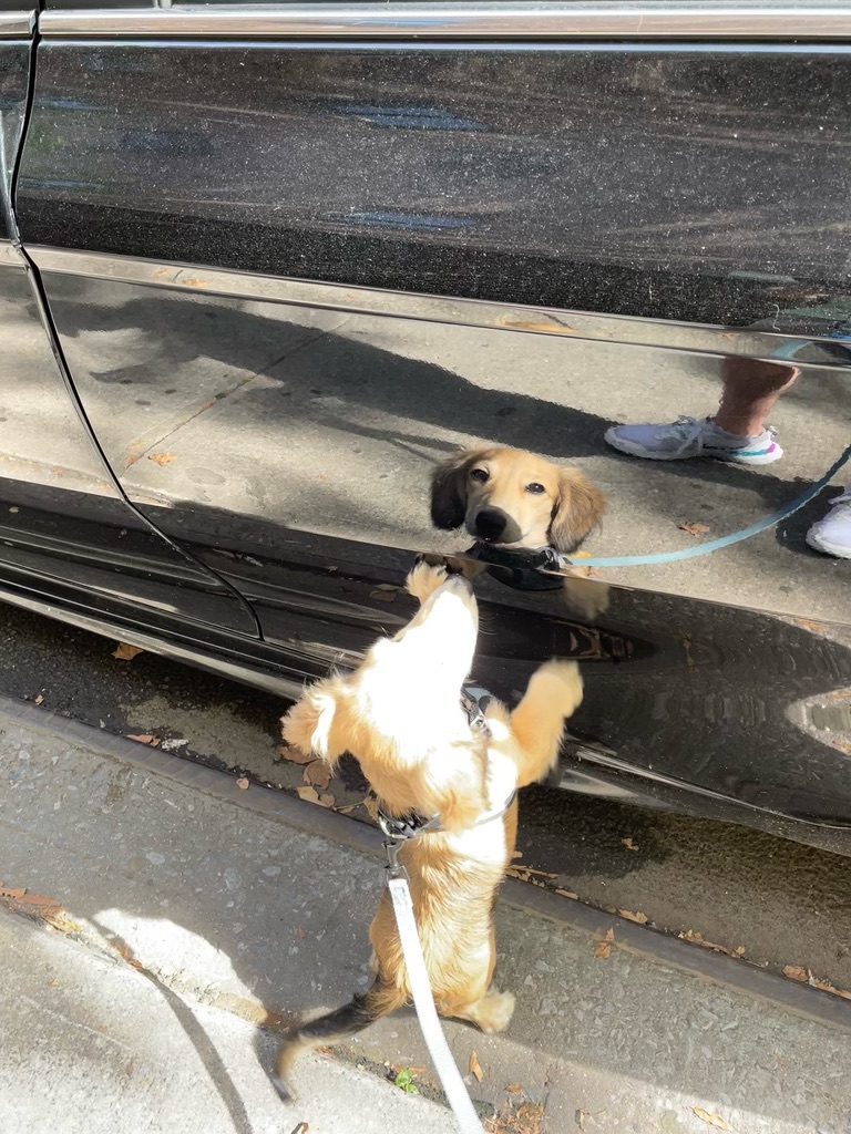 First Contact